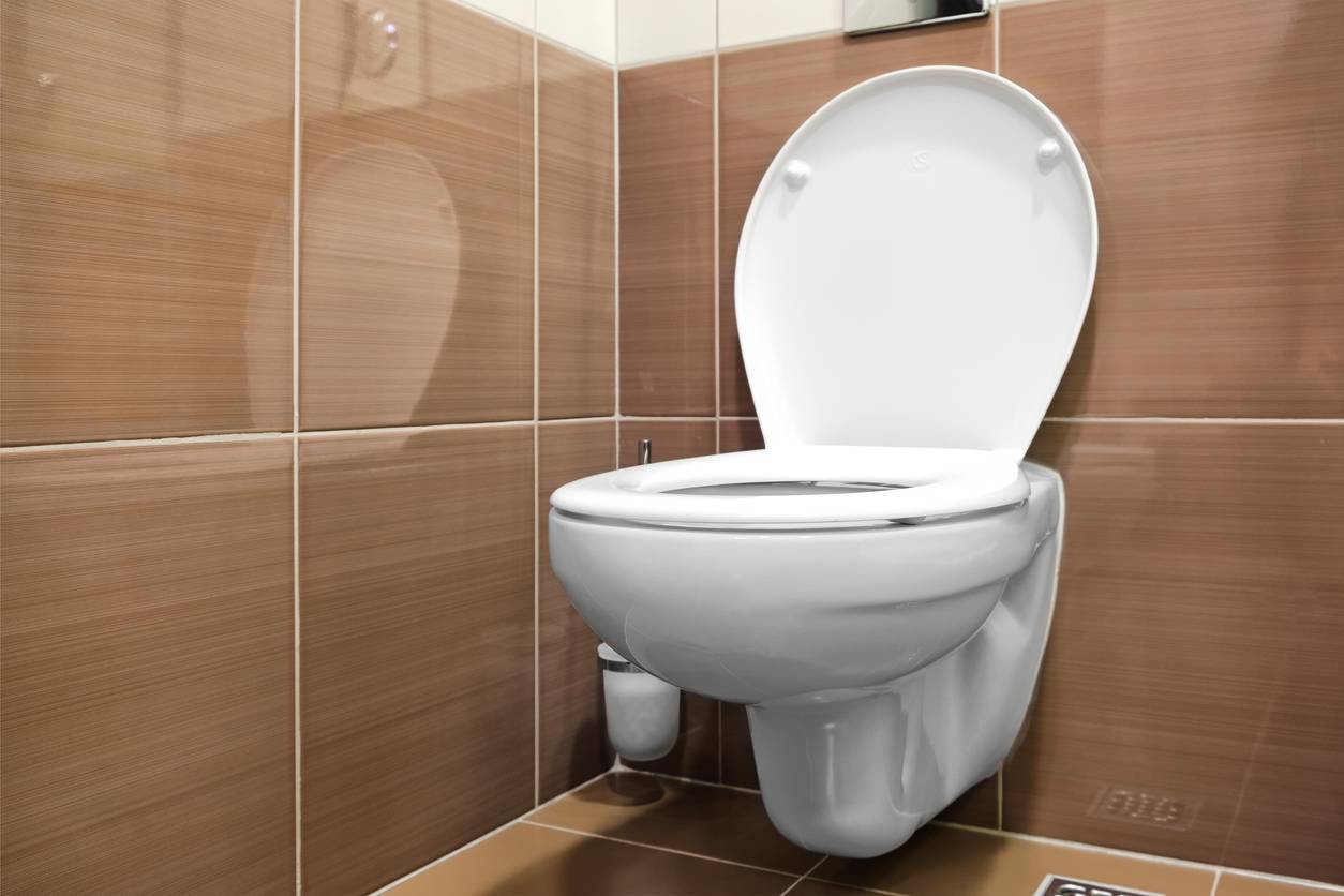 WC suspendu équipements sanitaires